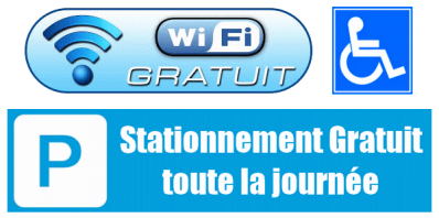 Logo parking wifi 1